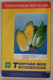 冷地王白菜种子 北京田园三高种子的花卉级蔬菜新选择