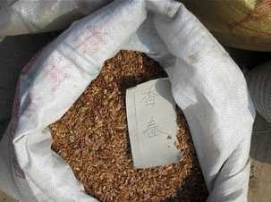 哈尔滨金龙农业 世界工厂网全球企业库中的花卉产业翘楚