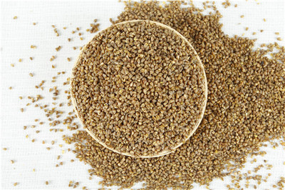 苦荞茶的奥秘 从田间种植到杯中饮品，详解其降压功效与市场价值