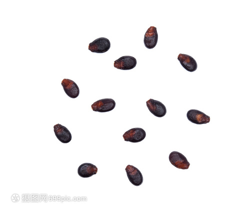 孤寂的希望 白背景顶视图下的西瓜种子