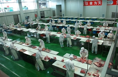 塞外花海，北疆绿洲 向世界展示一个全面、客观、真实的巴彦淖尔