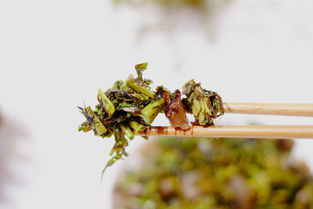 贵族蔬菜变身农村野草，清明时节抓紧品尝